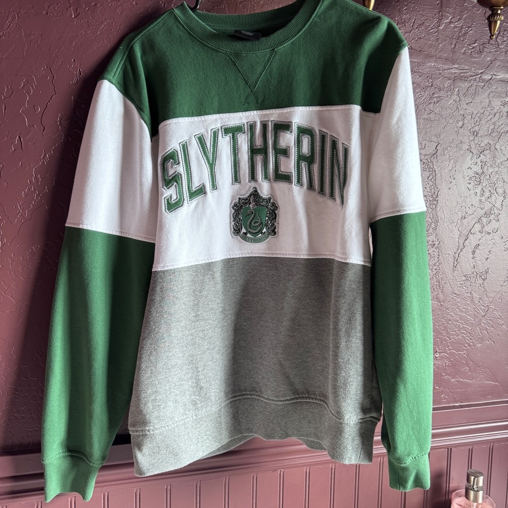Slytherin Green and Gray Men's Sweater